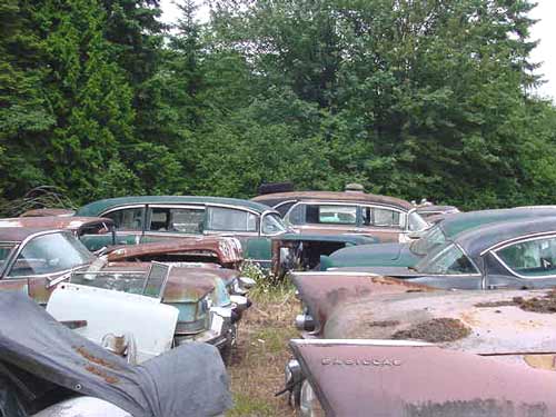 Pictures of Interest